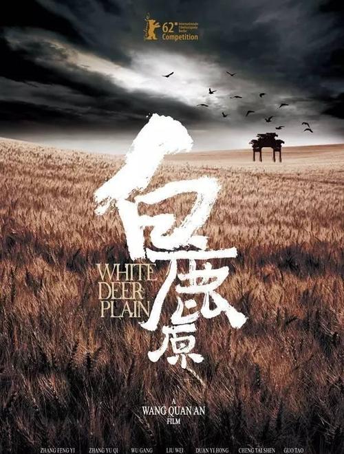 南十字星大学公共管理文凭证书
